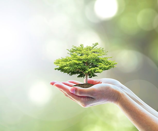 Syngene’s Approach To Environment Health Safety And Sustainability (EHSS)