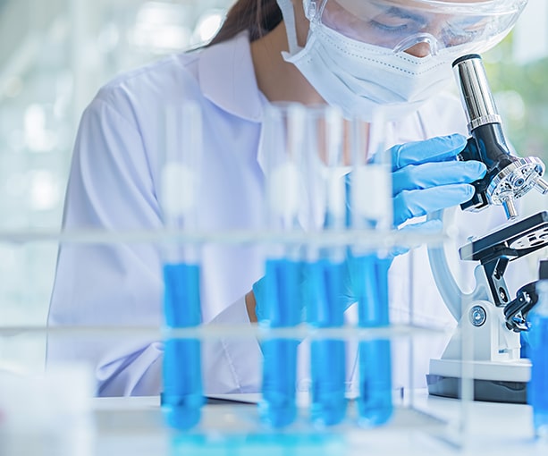 The Principles of the Quality Management System adopted by our company