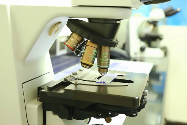 Preclinical-safety-rare-orphan