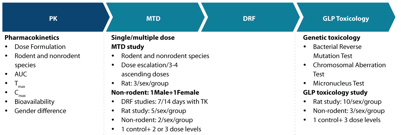 Flow diagram showing the sequence of preclinical in vivo safety studies, including pharmacokinetics (PK), maximum tolerated dose (MTD), dose range-finding (DRF), and GLP toxicology studies conducted in rodent and non-rodent species.