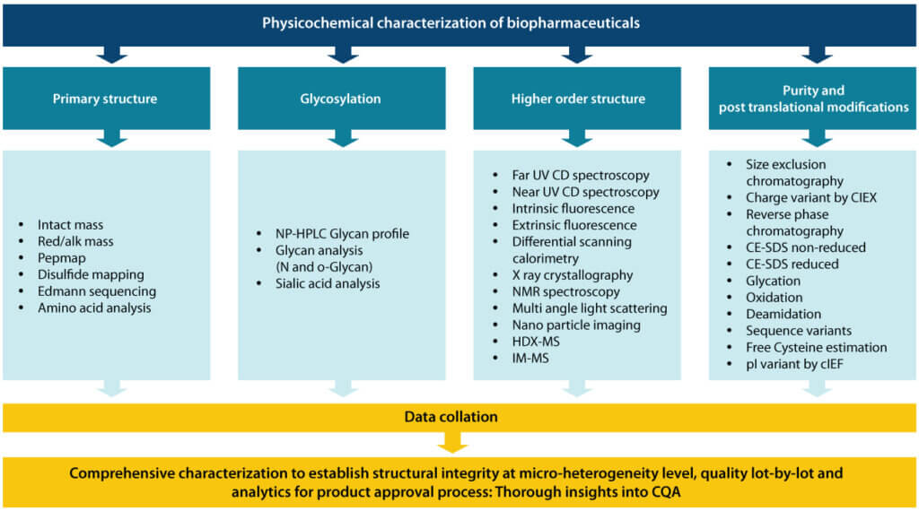 Structural characterization workflow of biopharmaceuticals showing analytical methods for primary structure, glycosylation, higher-order structure, and purity assessment