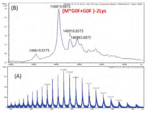 ESI-TOF mass spectrometry spectra showing intact protein mass and heterogeneity in monoclonal antibodies