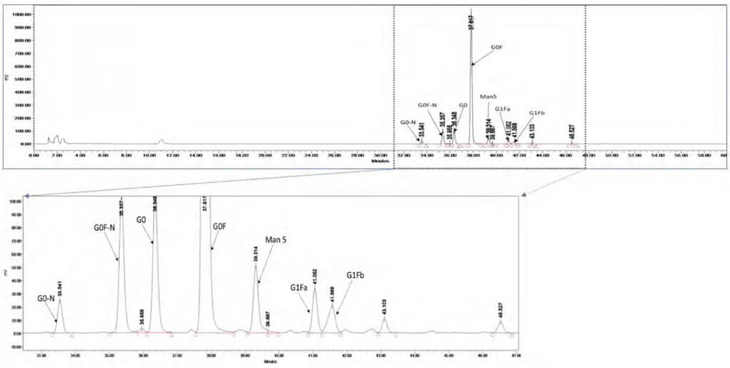 RPHPLC glycan profiling chromatogram and mass spectrometry analysis showing glycosylation patterns in biologic proteins