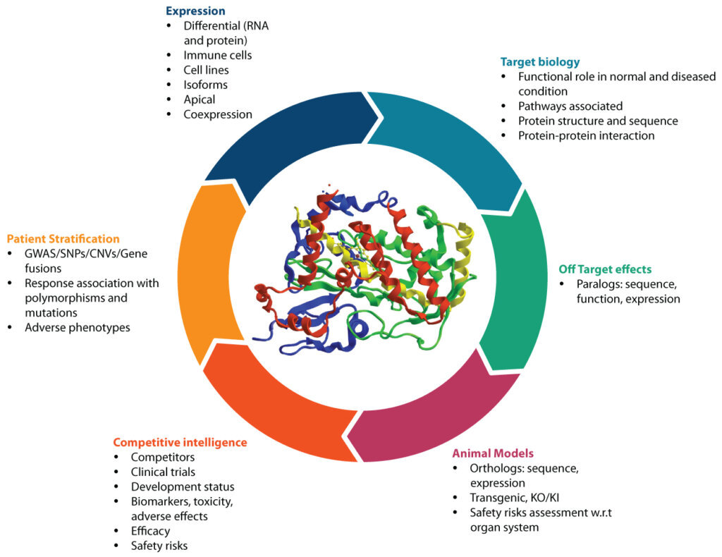 Comprehensive target profiling in preclinical research: protein structure, tissue expression, paralogs, animal models, competitive intelligence, and off-target effects.