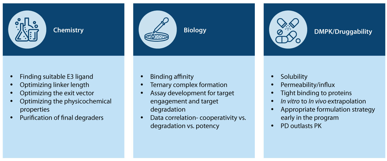 Workflow for PROTAC drug discovery showing chemistry optimization, biological assays for target engagement and degradation, and DMPK/druggability evaluation including solubility, permeability, and pharmacokinetics