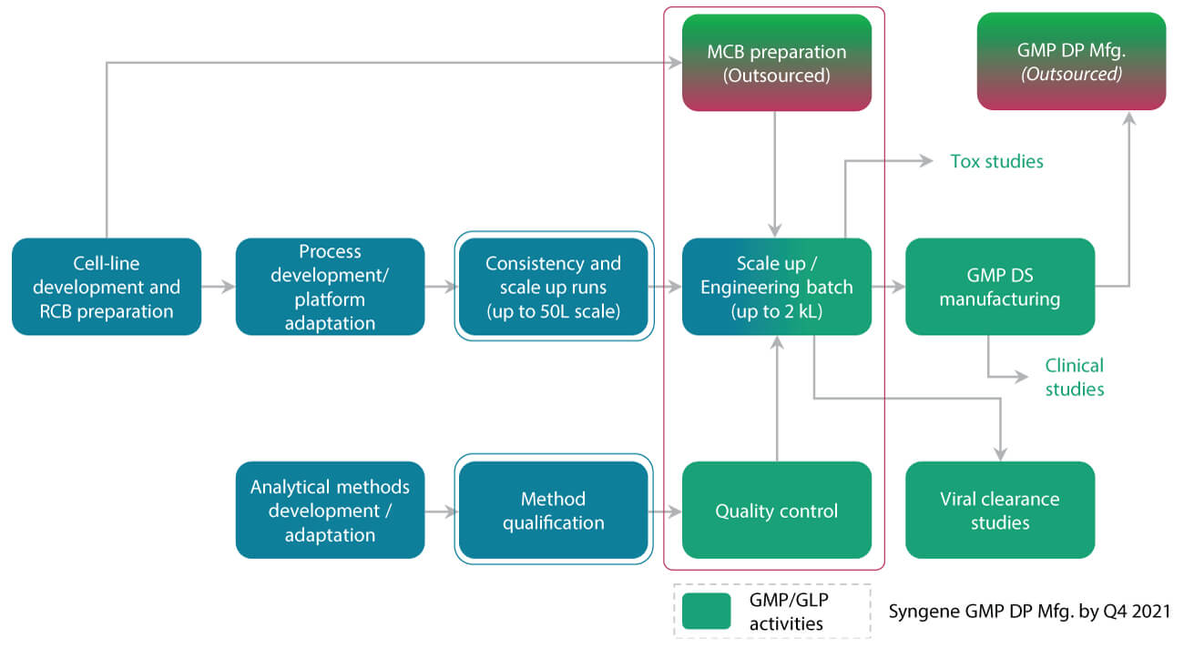 Flowchart showing an integrated biologics technology transfer workflow including cell line development, process and analytical method development, scale-up engineering batches, quality control, viral clearance, and GMP drug substance and drug product manufacturing