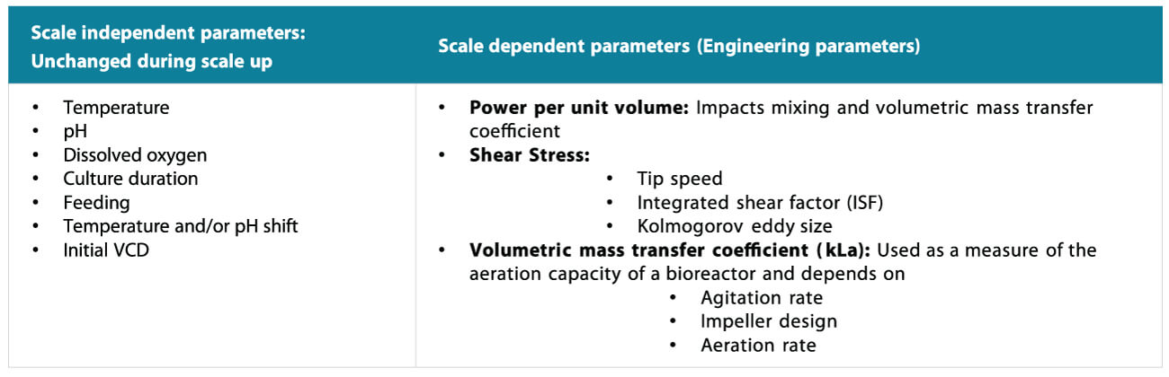 Bioreactor scale-up parameters showing scale-independent factors (temperature, pH, dissolved oxygen) and scale-dependent engineering parameters (power per volume, shear stress, kLa)