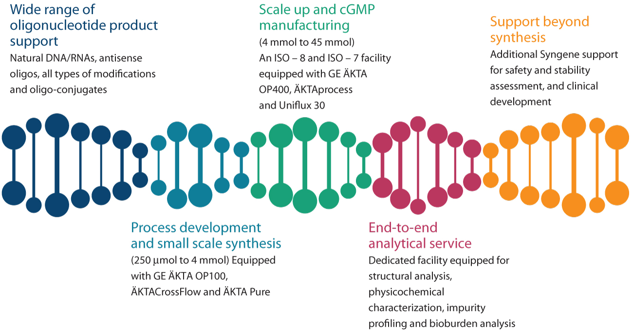 Syngene solid-phase oligonucleotide synthesis: small-scale process development, analytical services, GMP scale-up for antisense oligos and conjugates