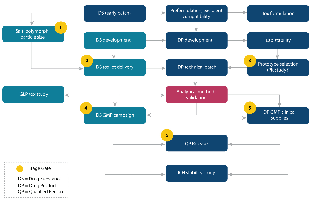 Integrated CMC strategy flowchart: DS early batch, salt/polymorph screening, DP development, tox formulation, GLP tox, GMP campaigns for small molecule development
