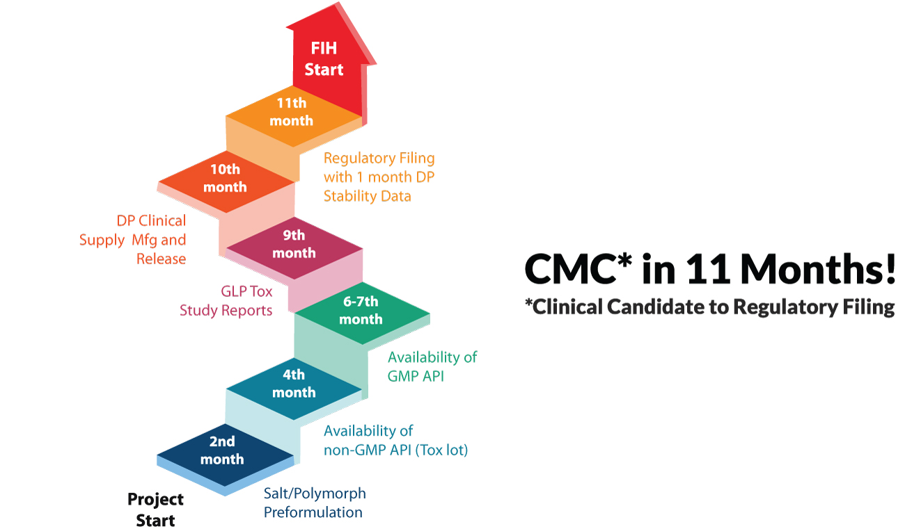Integrated CMC strategy timeline: Project start to FIH in 11 months, including preformulation, tox studies, GMP API, regulatory filing for small molecule development