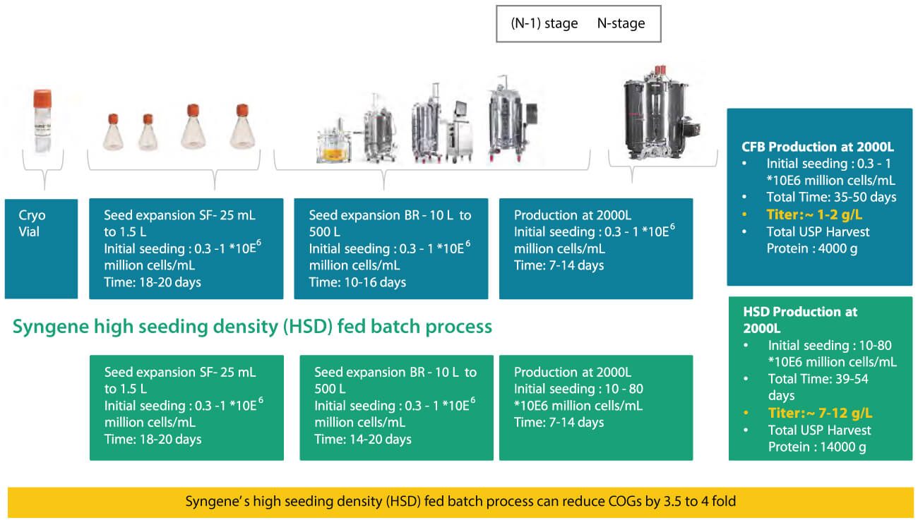 Side-by-side schematic comparing conventional fed-batch and high seeding density fed-batch processes, showing differences in seed expansion, initial cell density, process duration, and monoclonal antibody yield.