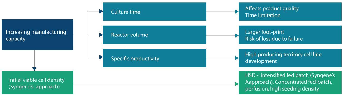 Flow diagram showing existing industry approaches to increase manufacturing productivity, including culture time extension, reactor volume increase, specific productivity improvement, and high seeding density strategies.