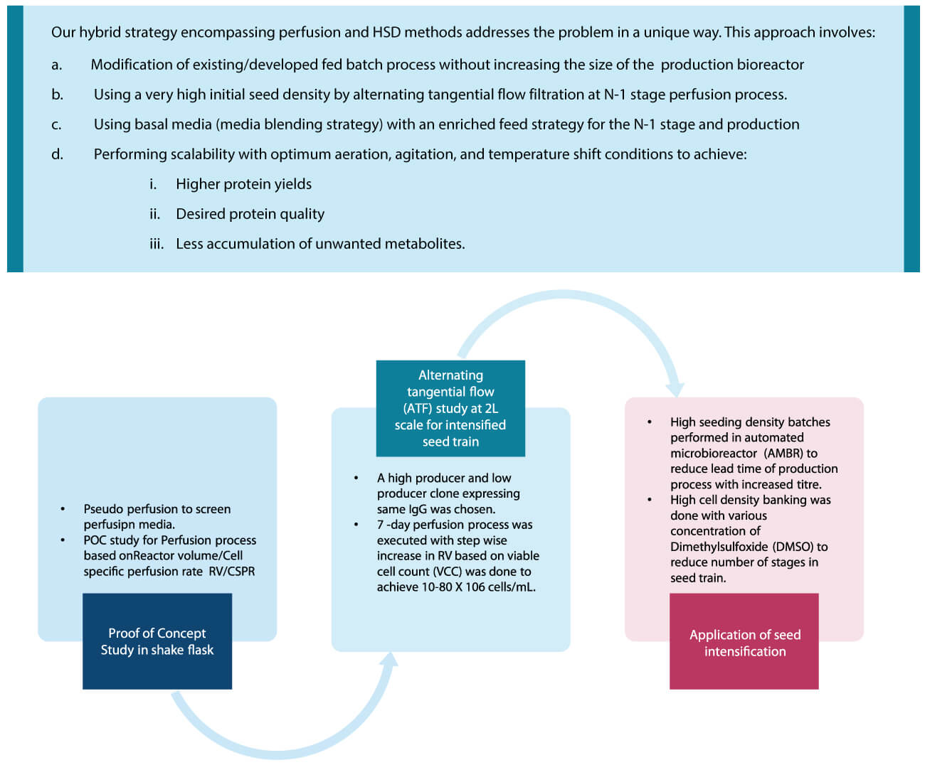 Workflow diagram of Syngene’s platform integrating N-1 perfusion, alternating tangential flow filtration, media optimization, and high seeding density to achieve higher cell density and protein yield.