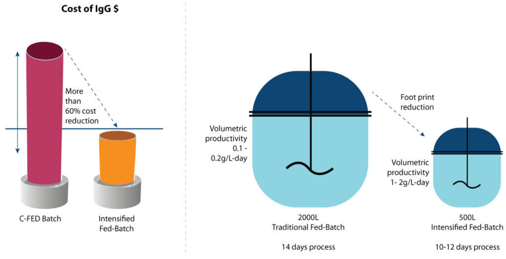 Side-by-side schematic comparing conventional fed-batch and high seeding density fed-batch processes, showing differences in seed expansion, initial cell density, process duration, and monoclonal antibody yield.