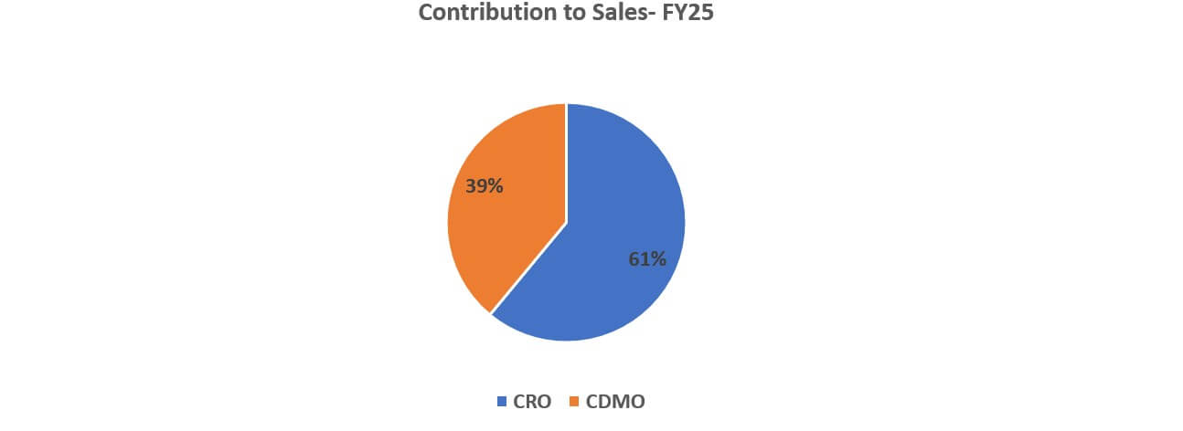 Contribution to sales 2025 img