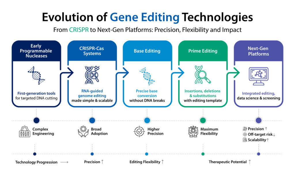 Infographic showing gene editing applications across the drug development pipeline.