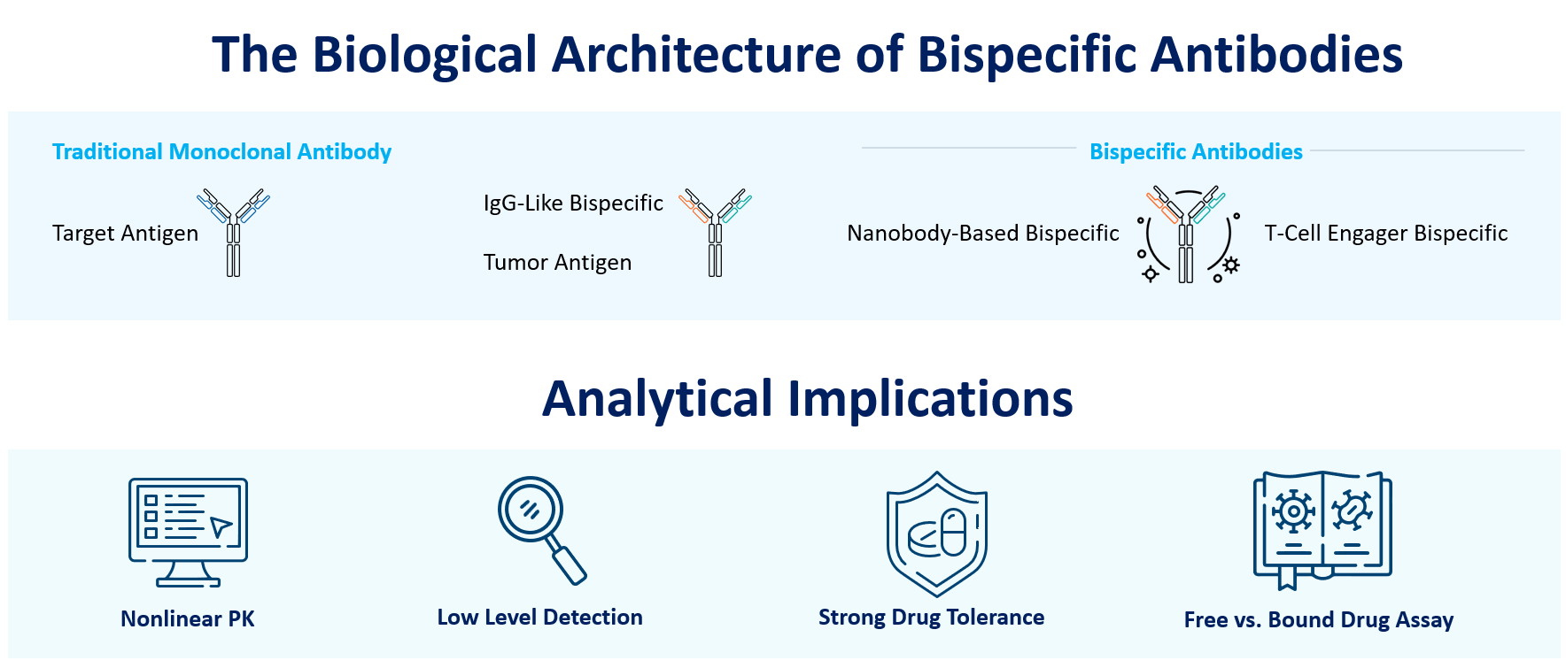 Bispecific antibodies infographic showing biological architecture, pharmacokinetic challenges, free vs bound drug analysis, anti-drug antibody detection, and clinical development bioanalysis. Learn more.