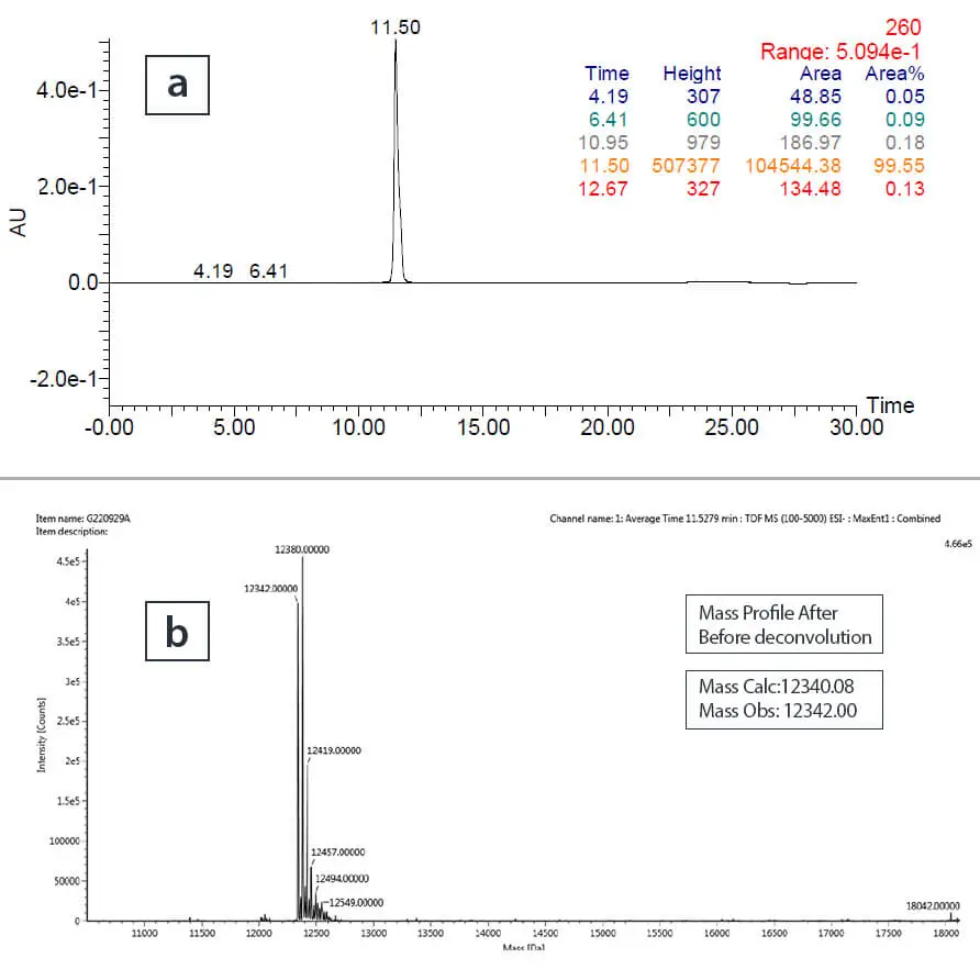 LC and deconvoluted mass profiles confirming aptamer purity and identity in nucleic acid therapeutics discovery.
