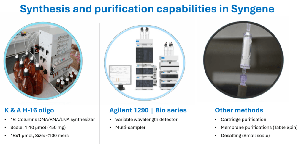 Syngene oligonucleotide synthesis and purification platform supporting nucleic acid therapeutics discovery and development.